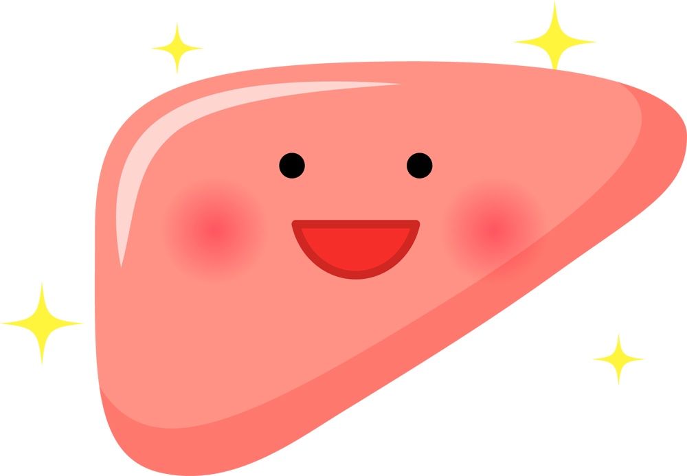 【体質改善】肝臓に良い食べ物で体を整える 風水師の友達ブログ